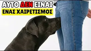Αν ο σκύλος σου ΜΥΡΙΖΕΙ την ΙΔΙΩΤΙΚΗ σου περιοχή, προσπαθεί να σου πει ΑΥΤΟ