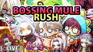 🔥WE'RE BROKE! BOSSING MULES TIME💵BACK TO THE WAPS | Maplestory Hyperion