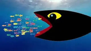 海の世界