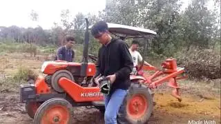 Pembuatan lubang tanam lada