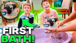 Our Puppy&rsquo;s First Bath 🐶