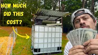 How Much It Cost Me to Build a DIY Rainwater Collection System (Full Breakdown)
