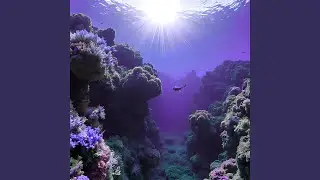Aqualuv Symphony
