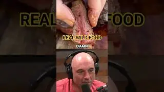 Joe Rogan on Wild Game Restaurants