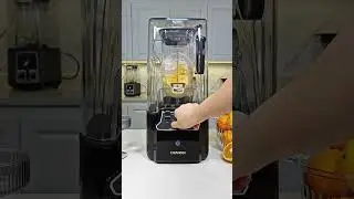 Recipes: Orange Smoothie by CRANDDI commercial blender K90