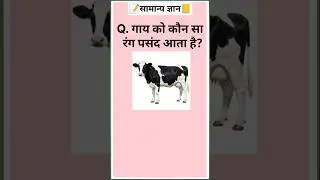 gk questions and answers Hindi gk general knowledge #gk #reels #shorts
