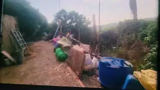 B17規劃新建新竹科學園區青草湖風景區湖光美景加盟旗艦店全球愛玉生技養生餐飲食農教育美景心靈減壓園藝療育美景森林日光浴101高山頂景觀餐廳全球愛玉蔬果供應新竹市農會衛AI美女照服全球機器人李載榮