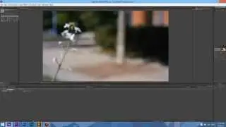 How to Export a Video on After Effects with Audio
