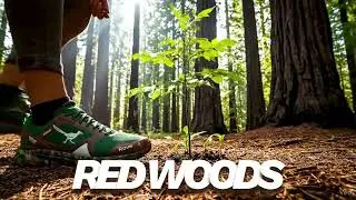 AI Commercial for Rove the shoe company