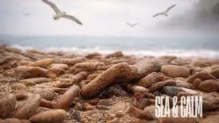 Peaceful Sea Sounds | Pure Relaxation