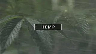 HEMP