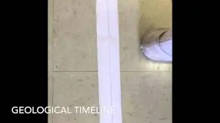 Geological Timeline