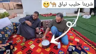 رحلة برية ترفيهية إلى وادي أبو الجود على طريق منتزه البيضاء البري في المدينة المنورة