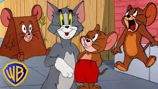 Le meilleur de Jerry la Souris 🐭🤎 | Tom et Jerry en Fran&ccedil;ais 🇫🇷 | WB Kids Fran&ccedil;ais​