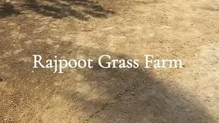 Allhamdulillah Sialkot project. Fine Dhaka carpet Grass installation. 0343.8666452