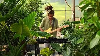 KDIN - Houseplants [DJ Mix at Sun Crest Gardens Green House] (play this when you water your plants)
