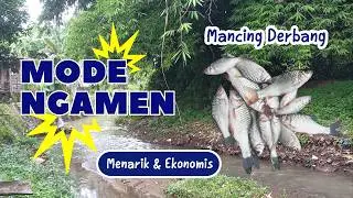 Mancing Derbang Mode Ngamen‼️Menarik dan Ekonomis‼️#fishing #mancing