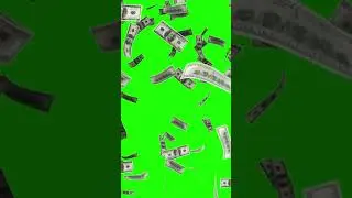 Green screen money video|without copyright| #money #green #moneygreenscreen