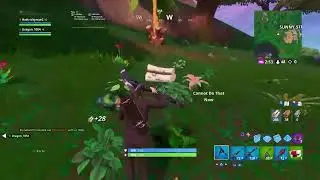 Fortnite with dragon_1054