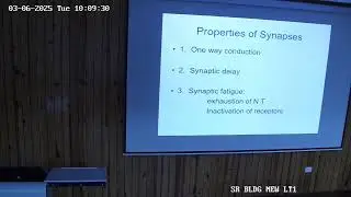 Synapatic Transmission