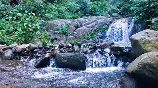 Mountain River Sounds for Calm Mind
