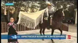 CLM EN VIVO Espectáculo ecuestre y de baile.