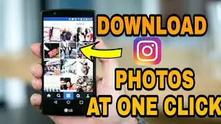 How to Download all Instagram photos & Videos At Once