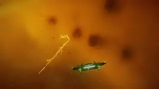 Lagrange Storm Cloud