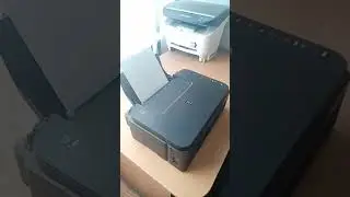 Когда принтер не берет бумагу