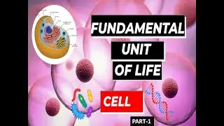 The cell_Cell wall #cellwall #plants #eukaryotic #prokaryotes #prokaryoticcell #cell #plantcell #me