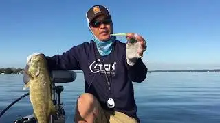 Spy Baiting  for Lake Simcoe Smallmouth -  Quick tip on How to and When to use them