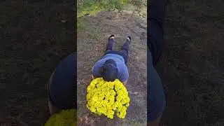 Stress relief 🪴#funny #comedy #funnyvideos #stressrelief #plants
