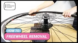 Freewheel Removal