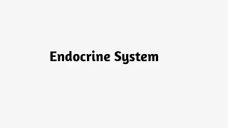 What is Endocrine System ?