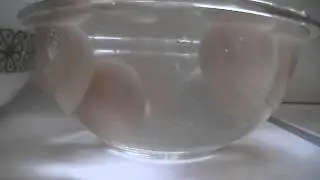 GOOD EGG VS. BAD EGG