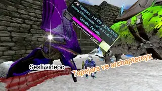 Ark Mobile | S2B22 tape ve archa tame sesli videoo