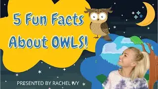 5 FUN FACTS ABOUT OWLS! IVY TV KIDS! Fun owl facts for kids!