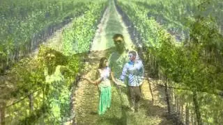 + M Engagement Portrait Video