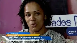 Veterinário dá dicas para proteger ouvido dos cães durante queima de fogos