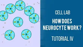 Tutorial NEUROCYTE cell Lab Walkthrough