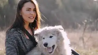 Cute funny animal expressions video (Free copyright)