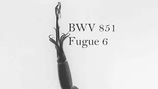 BWV 851 Fugue 6 Well Tempered Clavier First Book from Sad d minor to Happy D major