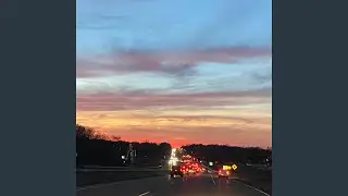 Road Runner