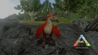 Como pintar seu Dino Ark mobile