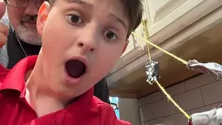 We made an invention that can knock down dominoes ￼