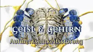 Manfred Spitzer - Geist & Gehirn - Aufmerksamkeitsst&ouml;rung 11.21
