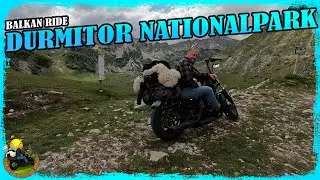 Motorradreise Campingtrip Montenegro: Durch den Durmitor-Nationalpark  in die Tara-Schlucht 🏍️🏕️
