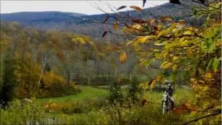 Arabian Horse Jumping (Sterling)