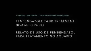 Fenbendazole Reef Treatment for Hydroids