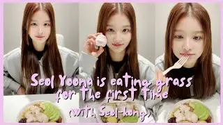 [SULLYOON VLIVE] Seol Yoona is eating grass for the first time. (With Seol-kong) 🐰🌿